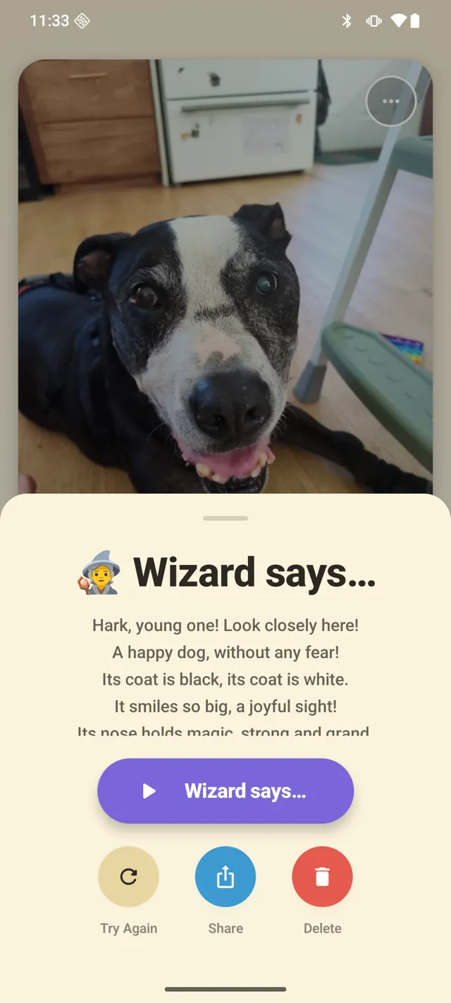A photo of a dog with a Tell Me description read aloud in the Wizard's voice